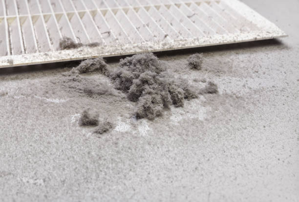 Best Affordable HVAC Duct Cleaning  in Monroeville, IN